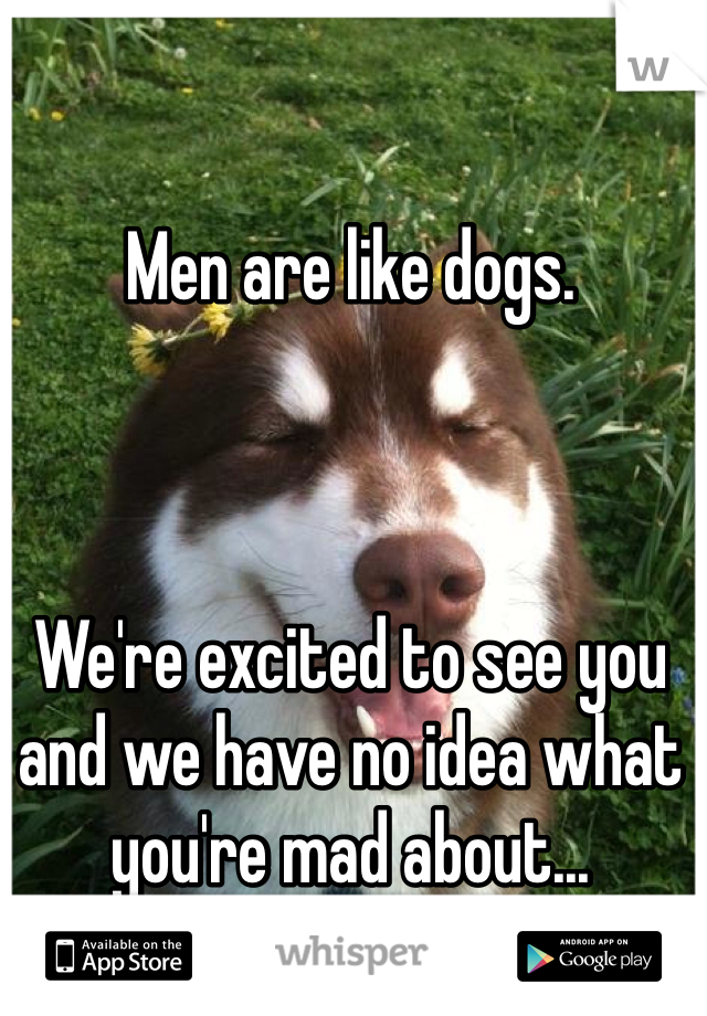 Men are like dogs.



We're excited to see you and we have no idea what you're mad about...