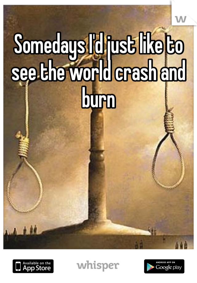 Somedays I'd just like to see the world crash and burn