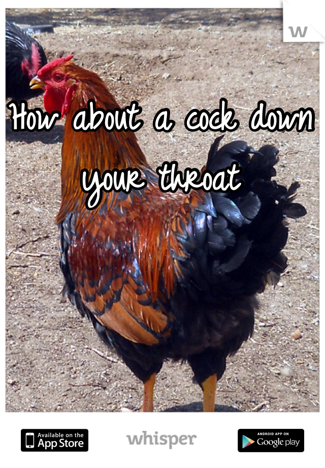 How about a cock down your throat