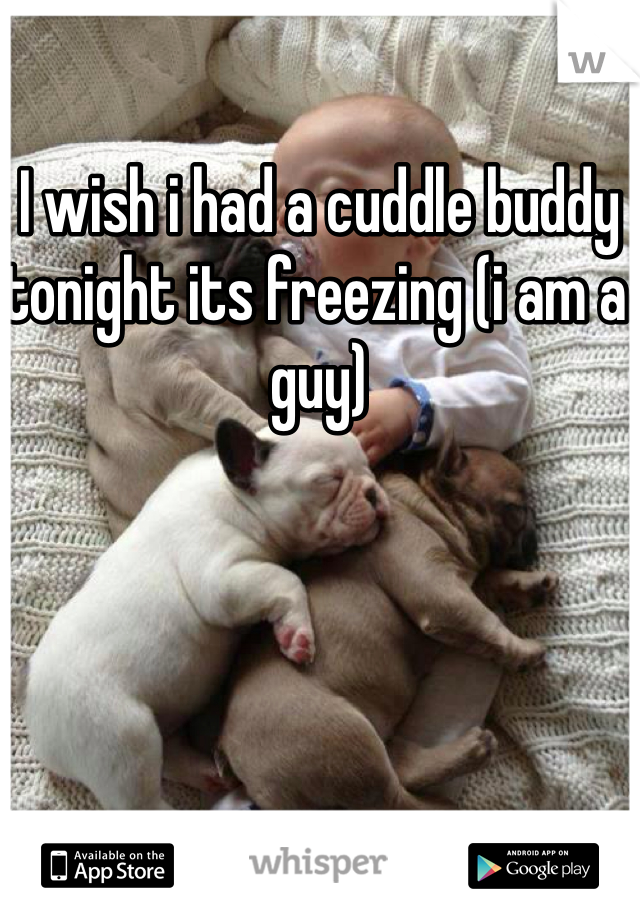 I wish i had a cuddle buddy tonight its freezing (i am a guy)