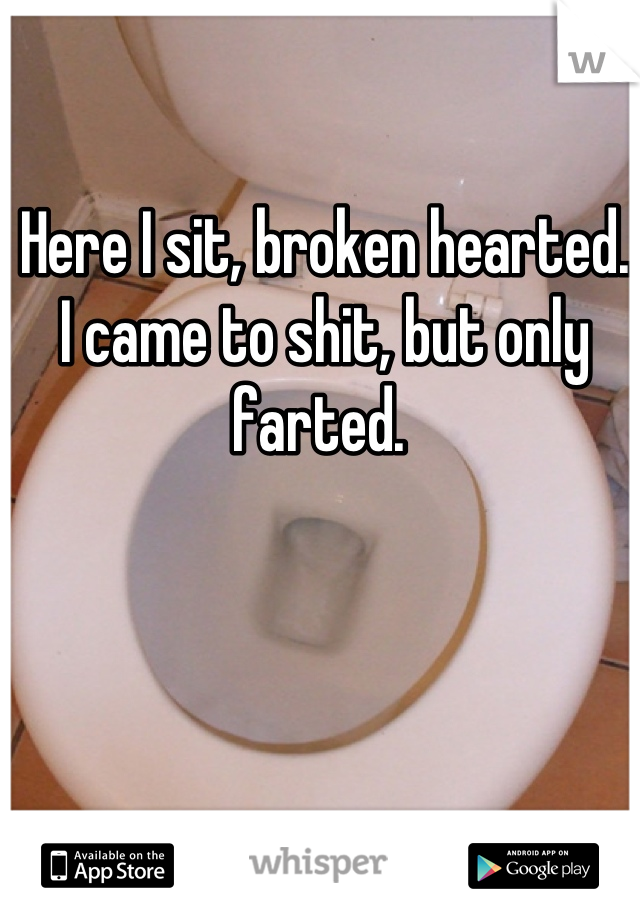 Here I sit, broken hearted. I came to shit, but only farted. 