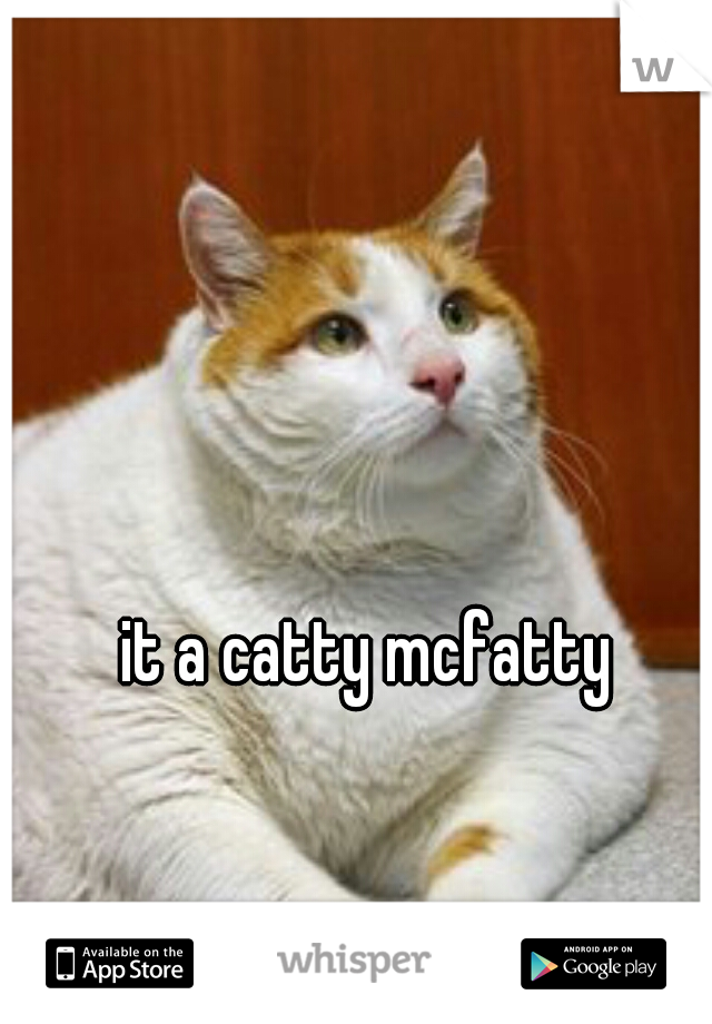 it a catty mcfatty