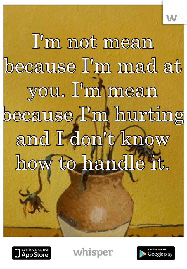 I'm not mean because I'm mad at you. I'm mean because I'm hurting and I don't know how to handle it. 