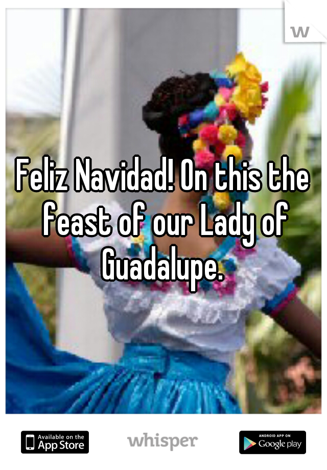 Feliz Navidad! On this the feast of our Lady of Guadalupe. 