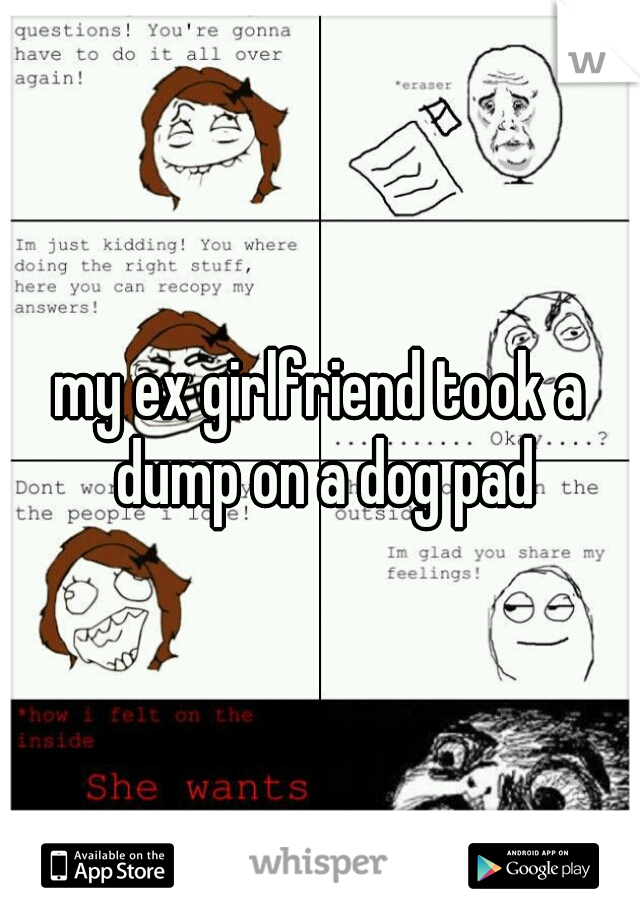 my ex girlfriend took a dump on a dog pad