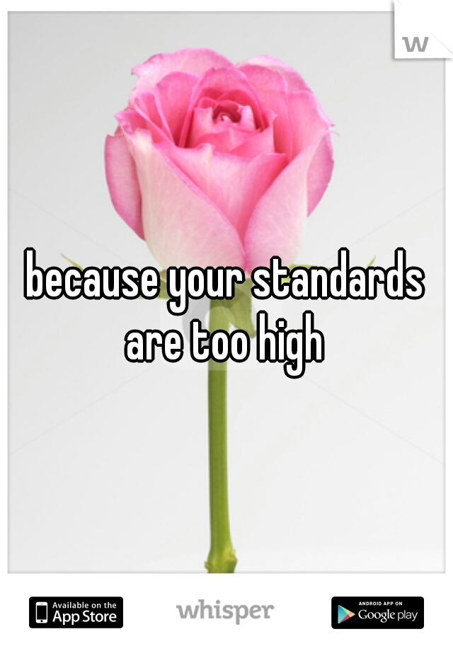 because your standards are too high 