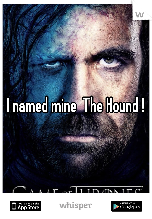 I named mine  The Hound !