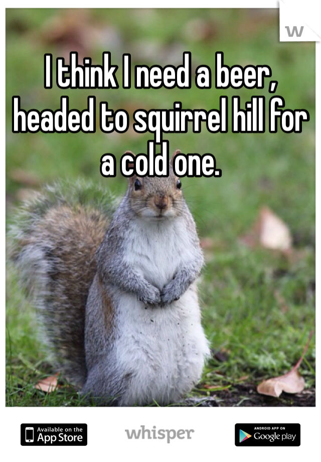 I think I need a beer, headed to squirrel hill for a cold one.