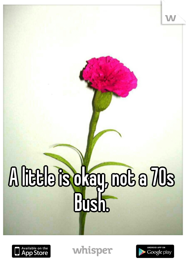 A little is okay, not a 70s Bush. 