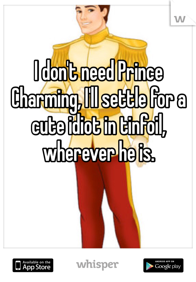 I don't need Prince Charming, I'll settle for a cute idiot in tinfoil, wherever he is. 