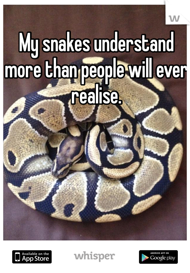 My snakes understand more than people will ever realise. 
