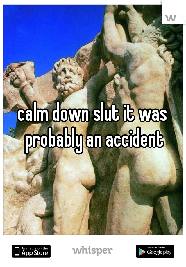 calm down slut it was probably an accident