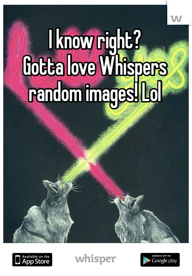 I know right?
Gotta love Whispers random images! Lol