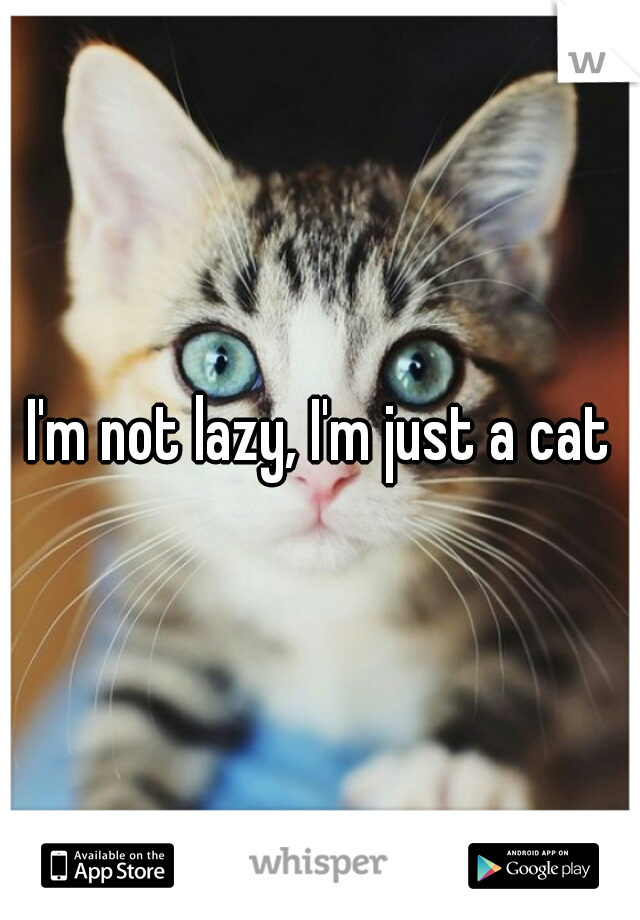 I'm not lazy, I'm just a cat
