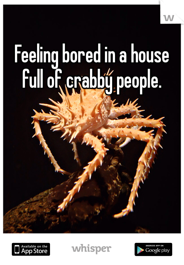 Feeling bored in a house full of crabby people. 