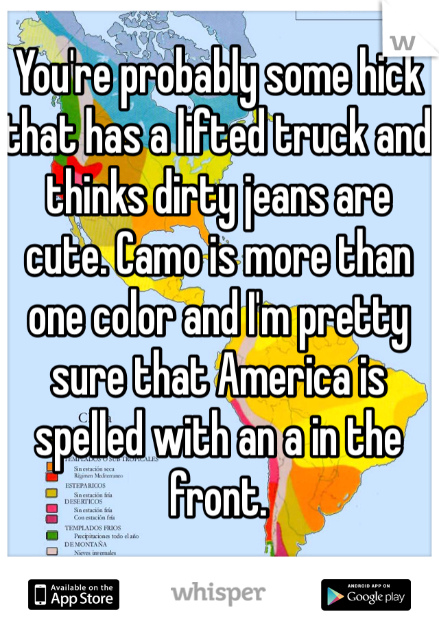 You're probably some hick that has a lifted truck and thinks dirty jeans are cute. Camo is more than one color and I'm pretty sure that America is spelled with an a in the front. 