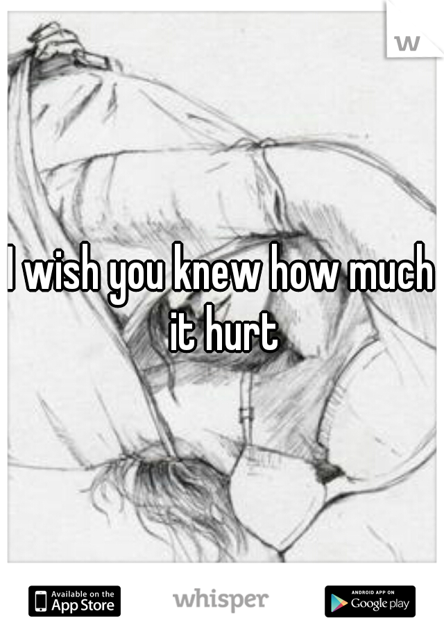 I wish you knew how much it hurt