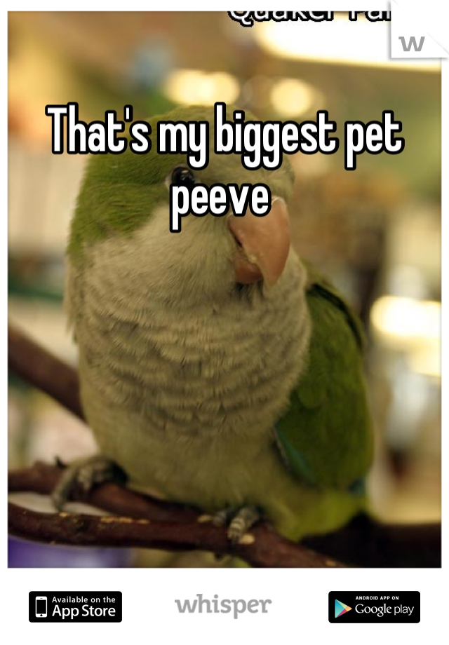 That's my biggest pet peeve 