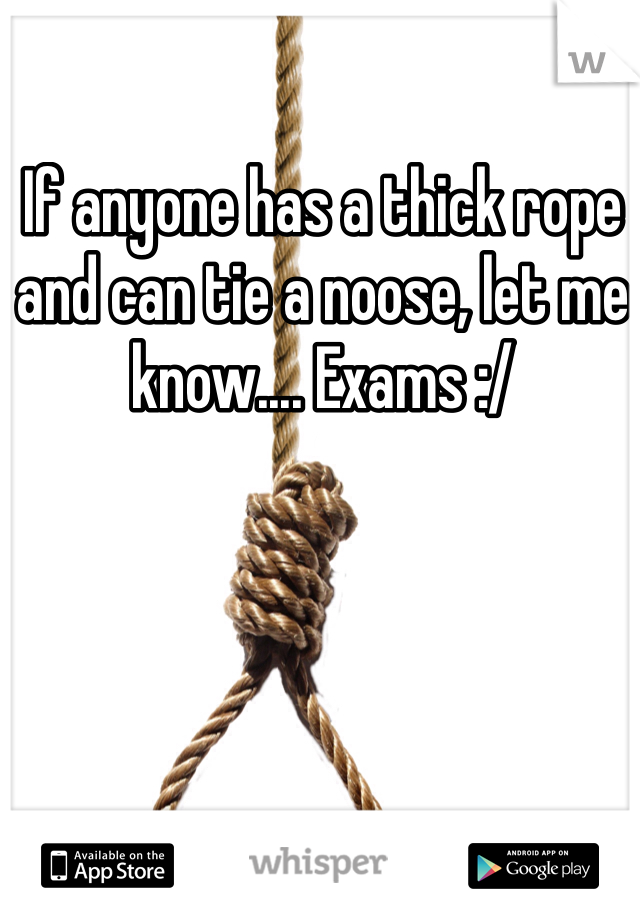 If anyone has a thick rope and can tie a noose, let me know.... Exams :/ 