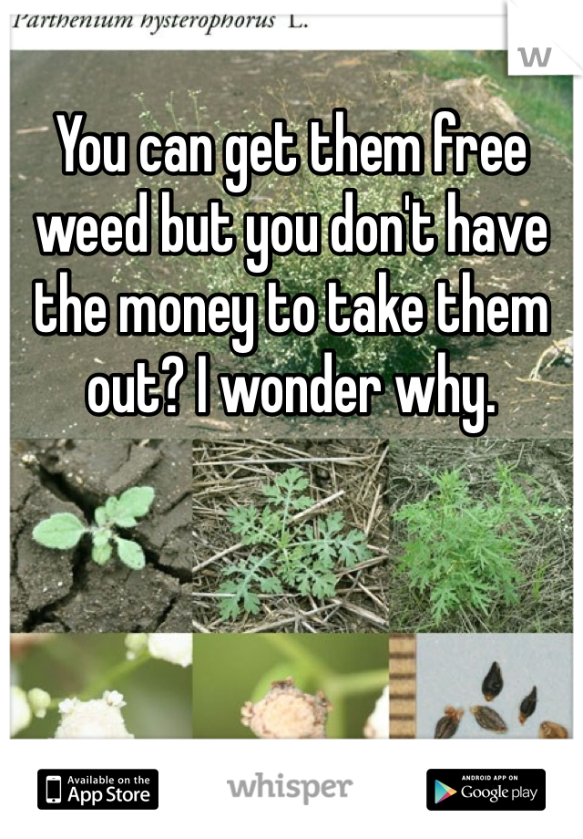 You can get them free weed but you don't have the money to take them out? I wonder why. 