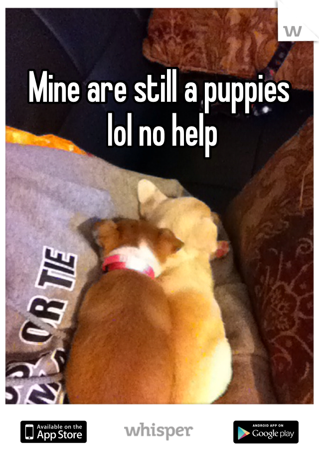 Mine are still a puppies
 lol no help 
