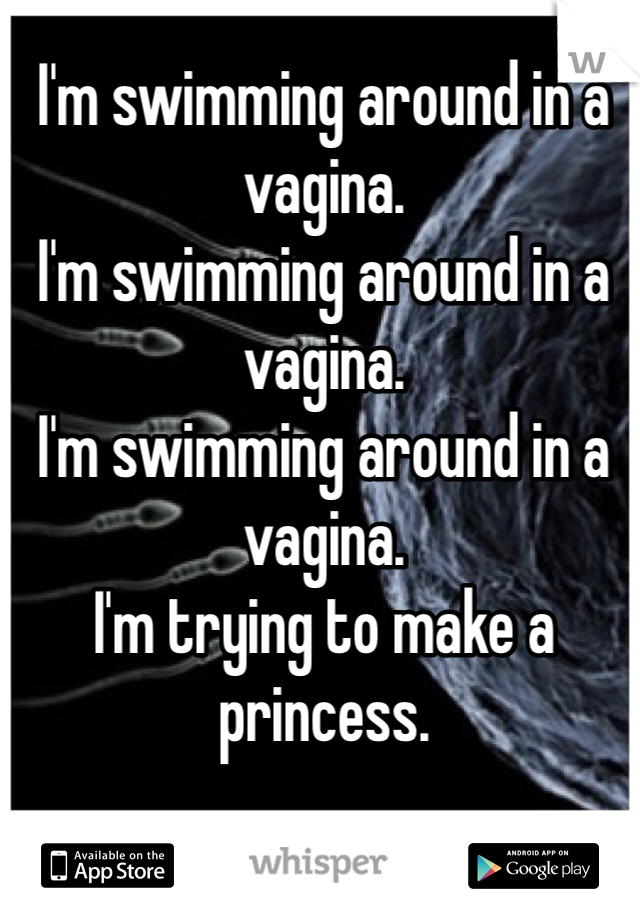 I'm swimming around in a vagina. 
I'm swimming around in a vagina. 
I'm swimming around in a vagina. 
I'm trying to make a princess. 