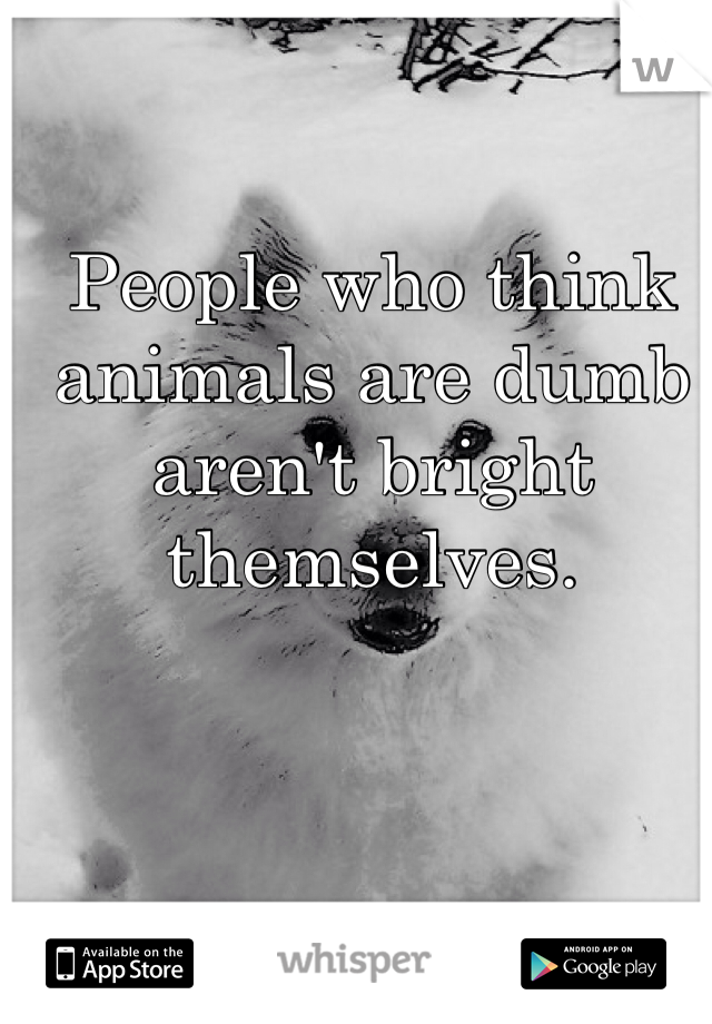People who think animals are dumb aren't bright themselves. 