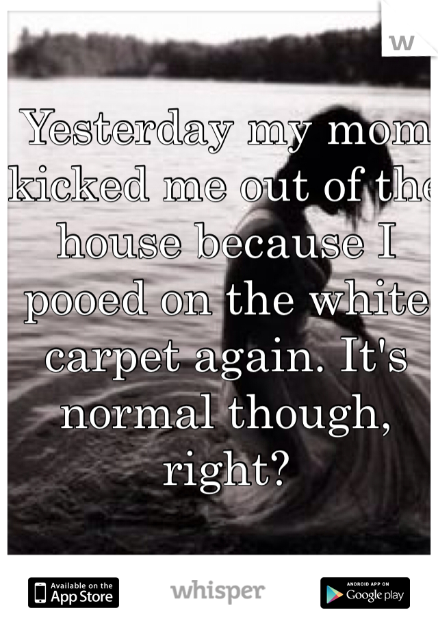 Yesterday my mom kicked me out of the house because I pooed on the white carpet again. It's normal though, right?