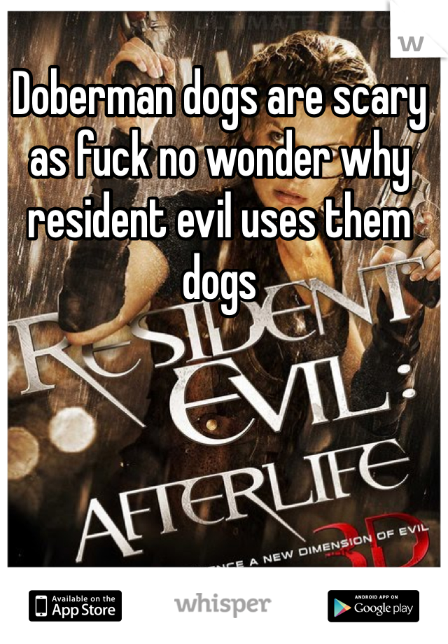 Doberman dogs are scary as fuck no wonder why resident evil uses them dogs