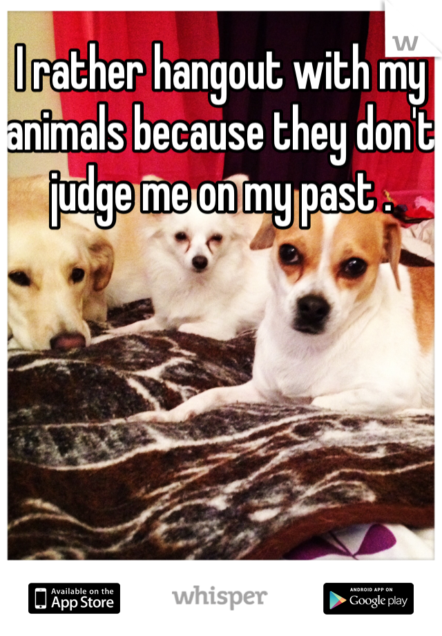 I rather hangout with my animals because they don't judge me on my past . 