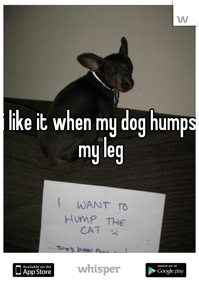 i like it when my dog humps my leg