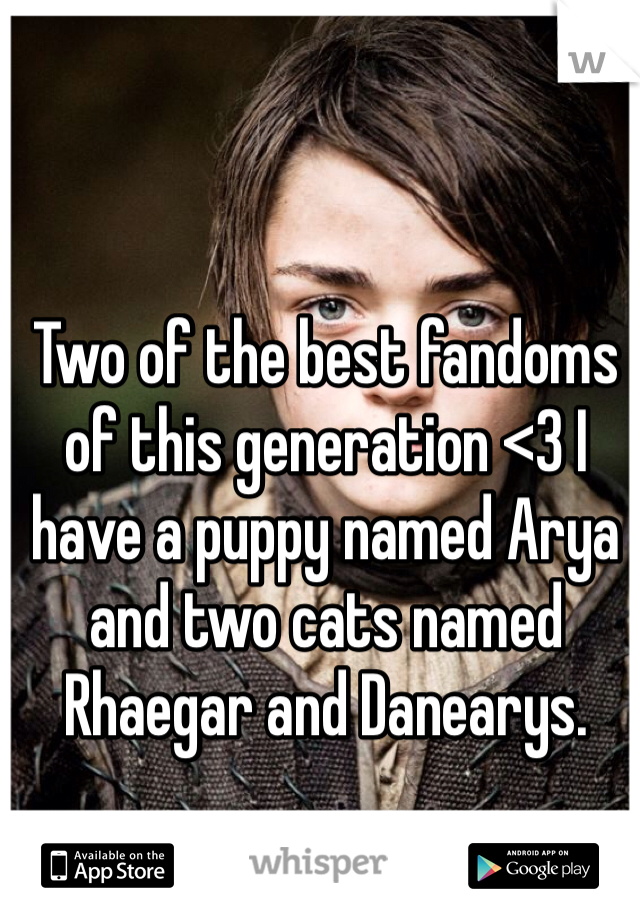 Two of the best fandoms of this generation <3 I have a puppy named Arya and two cats named Rhaegar and Danearys.