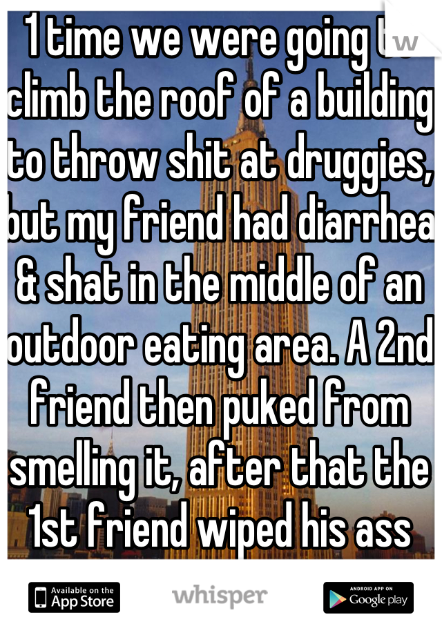 1 time we were going to climb the roof of a building to throw shit at druggies, but my friend had diarrhea & shat in the middle of an outdoor eating area. A 2nd friend then puked from smelling it, after that the 1st friend wiped his ass with a $5 bill