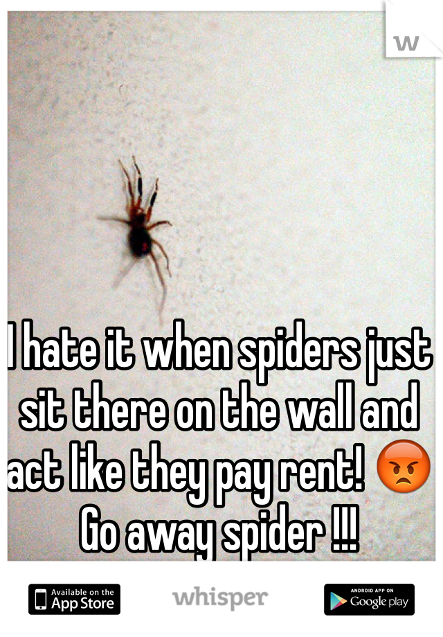 I hate it when spiders just sit there on the wall and act like they pay rent! 😡
Go away spider !!! 