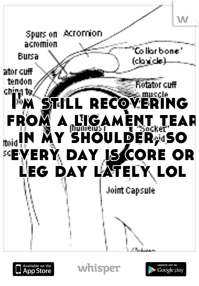 I'm still recovering from a ligament tear in my shoulder, so every day is core or leg day lately lol