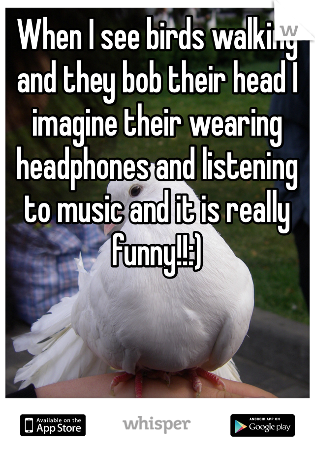 When I see birds walking and they bob their head I imagine their wearing headphones and listening to music and it is really funny!!:)