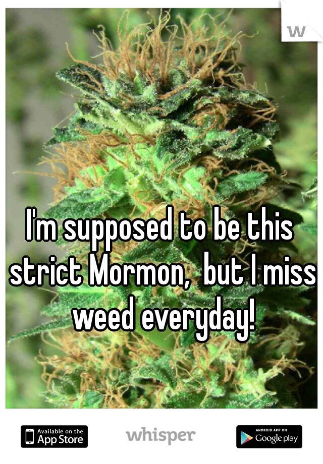 I'm supposed to be this strict Mormon,  but I miss weed everyday!