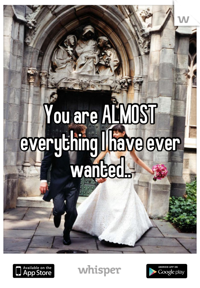 You are ALMOST everything I have ever wanted..