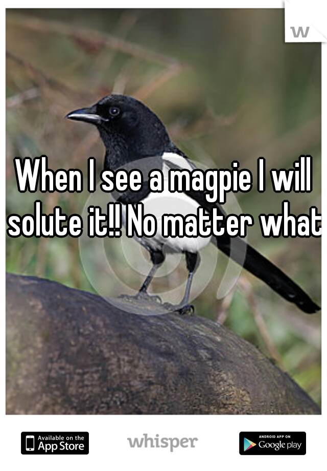 When I see a magpie I will solute it!! No matter what 