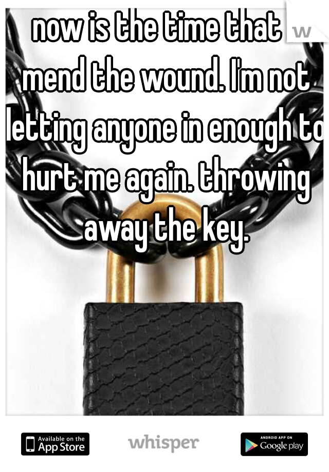 now is the time that I mend the wound. I'm not letting anyone in enough to hurt me again. throwing away the key.