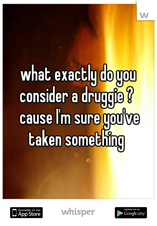 what exactly do you consider a druggie ?   cause I'm sure you've taken something  