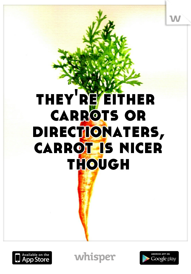 they're either carrots or directionaters, carrot is nicer though