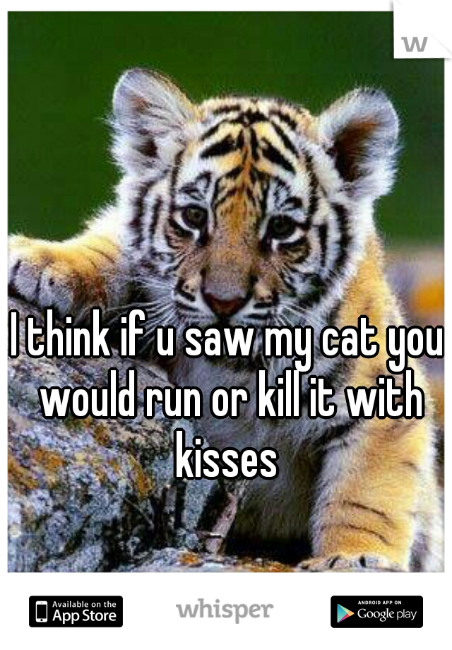 I think if u saw my cat you would run or kill it with kisses 