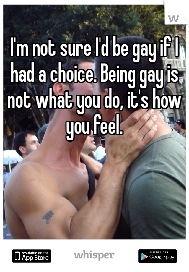 I'm not sure I'd be gay if I had a choice. Being gay is not what you do, it's how you feel.