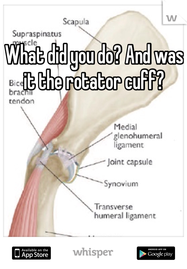 What did you do? And was it the rotator cuff?