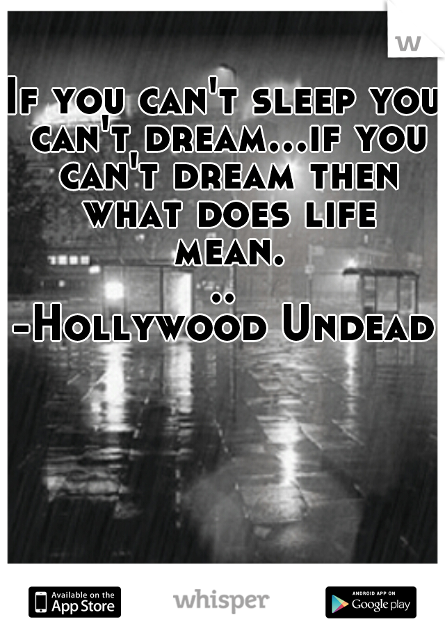 If you can't sleep you can't dream...if you can't dream then what does life mean...
-Hollywood Undead