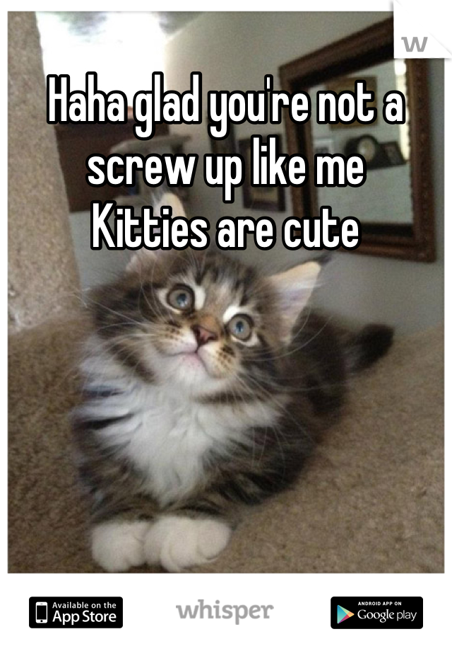 Haha glad you're not a screw up like me
Kitties are cute