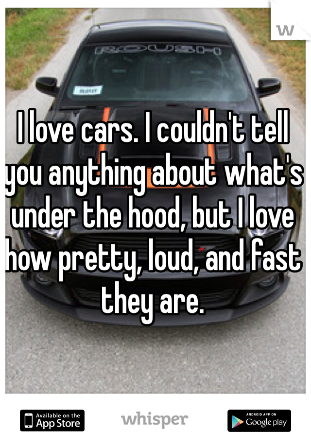 I love cars. I couldn't tell you anything about what's under the hood, but I love how pretty, loud, and fast they are. 