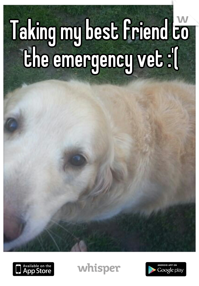 Taking my best friend to the emergency vet :'(