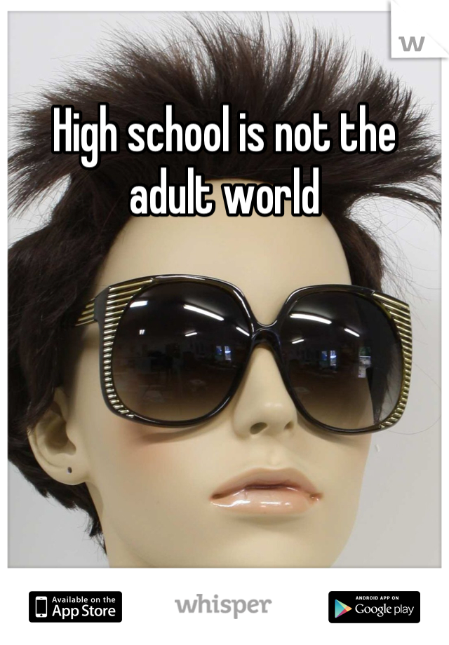 High school is not the adult world
